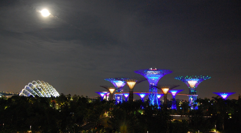 Garden by the bay, SINGAPORE